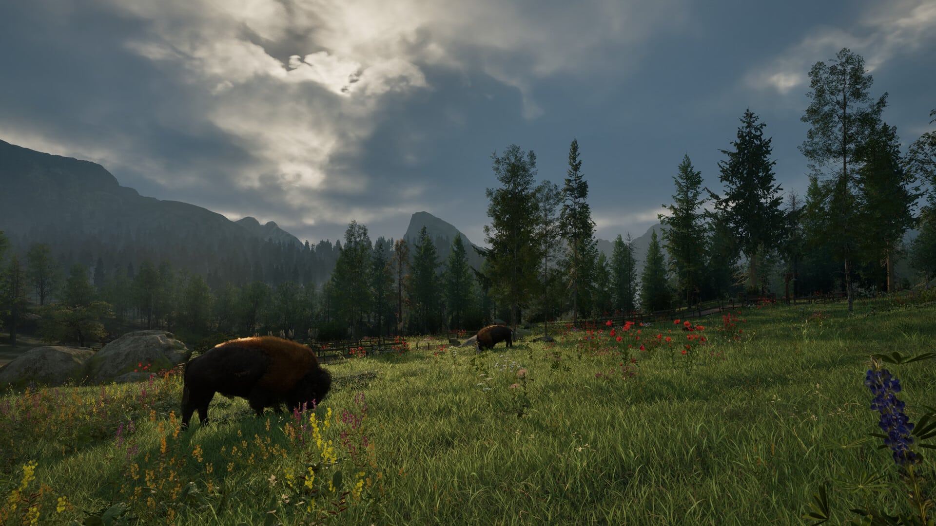 Ranger’s Path: National Park Simulator