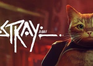 Stray
